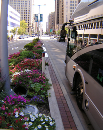 Dedicated bus lane.