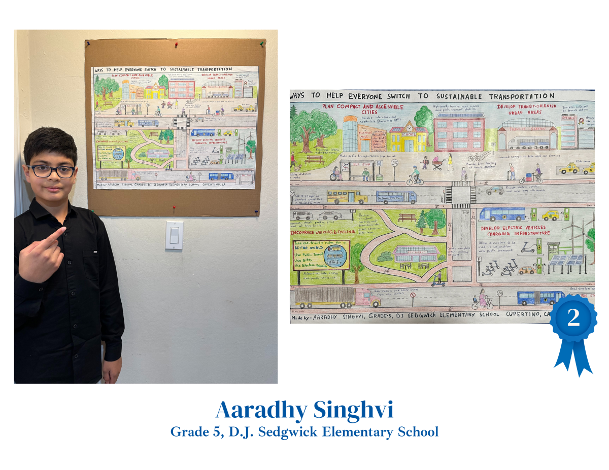 Aaradhy Singhvi, Grade 5, D.J. Sedgwick Elementary School